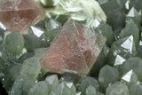 Hedenbergite Quartz With Pink Fluorite Octahedrals - Mongolia #173037-5
